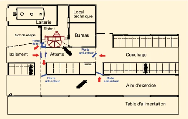 Figure  6  Exemple  de  bâtiment  en  circulation  forcée  :  les  animaux  sont  guidés  de  l’aire  d’alimentation  à  l’aire  de  couchage puis à la salle d’attente située face au robot par des portes anti-retours (Source : Chambre d’Agriculture de  Bre