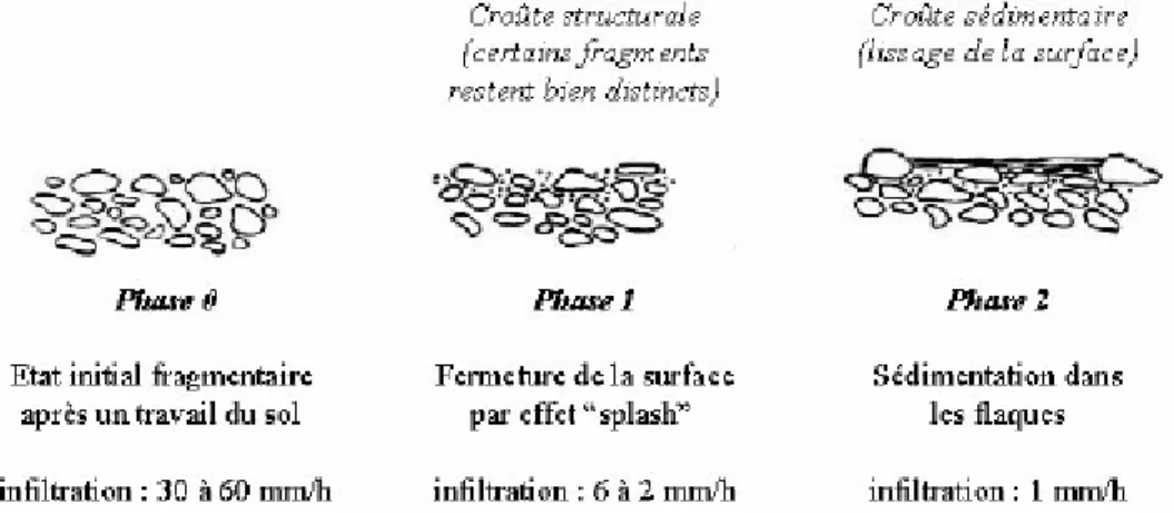 Figure 5-23 Schématisation des stades de dégradation du sol d’après Boiffin 