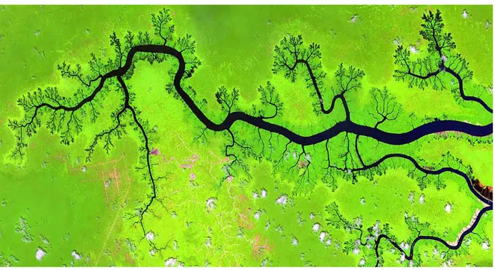 Figure 1-4 Image satellite du réseau de rivières, East Kalimantan, Indonésie 4