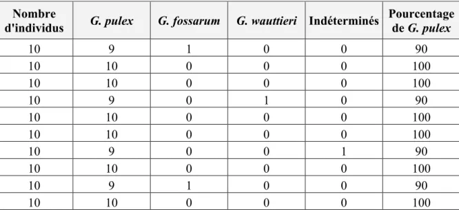 Tableau 2 : Distribution des espèces du genre Gammarus dans l’élevage de masse mis en  place à partir de gammares provenant du Blanc Gravier à Colonster