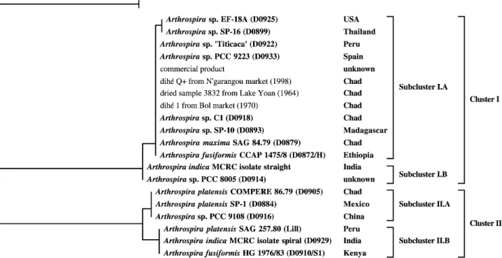 Fig. 3. Dendrogram built by the neighbor-joining method, applied to a distance matrix calculated with the Jukes and Cantor (1969) correction and based on the ITS sequences from 16 living strains, 3 dihés, and 1 commercial product (pill)