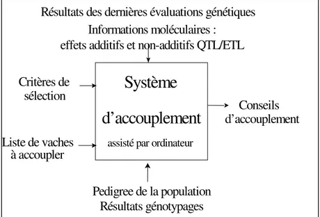 Figure  1:  Schéma  représentant  l'intégration  des  informations  disponibles  dans  un  système  d'accouplement assisté par ordinateur (adapté de Gengler &amp; Druet, 2000) 
