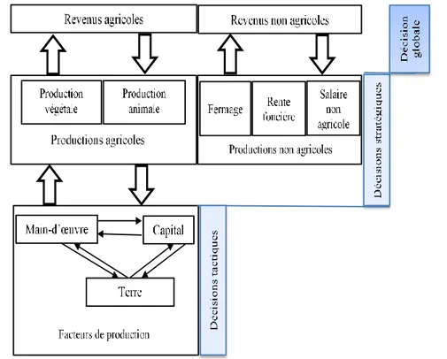 Figure 6: Exploitation agricole et influence des décisions des opérateurs  Source : Auteur, adaptée de Bélières et al