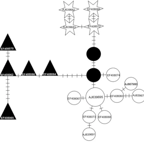 Fig. 4 Mismatch distribution analysis of the bank vole (Myodes glareolus) Basque lineage.