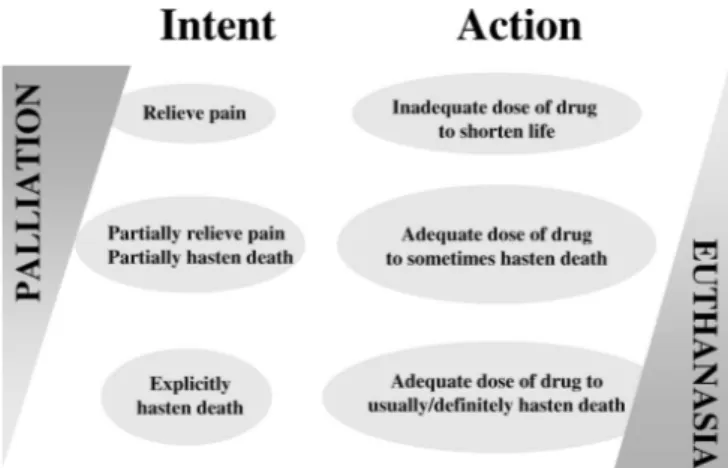 Figure 2. The spectrum of actions between palliative care and euthanasia.
