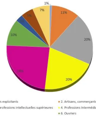 Figure 6 : Graphique sectoriel de la répartition des catégories socio-professionnelles  des élèves du Lycée Emile LOUBET