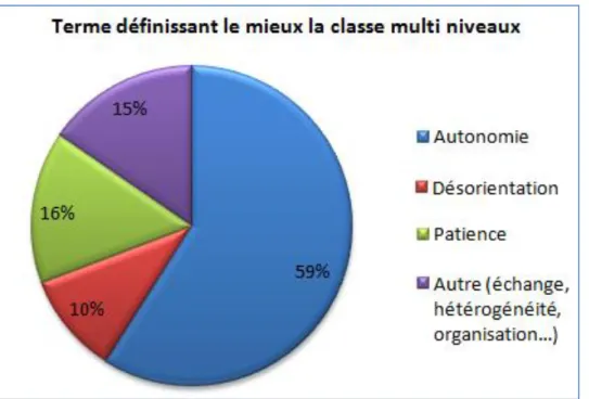 Figure 6 : Terme définissant le mieux la classe multi niveaux 