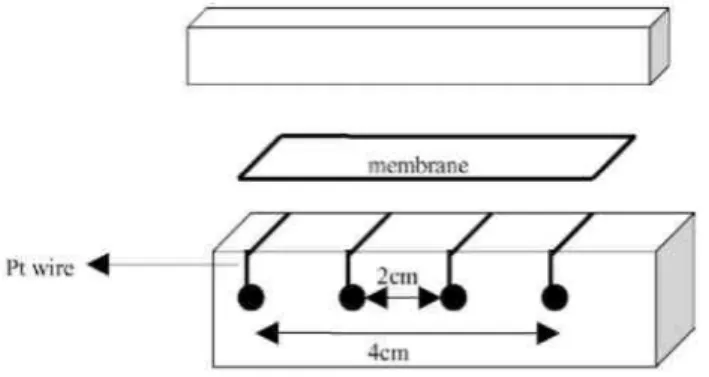 Fig. 3. Schematic view of the cell used for the measurement of the ionic conductivity.