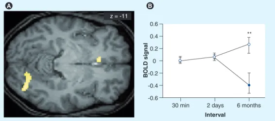 Figure 5. Differences in brain activity during a 6-month retest session for correctly recalled  words learned before sleep versus before sleep deprivation in a paired-associate word  task