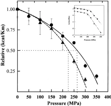 Fig. 2. In-situ pressure-induced changes in the ANS-CPY binding fluorescence of WtCPY (A) and DglyCPY (B)