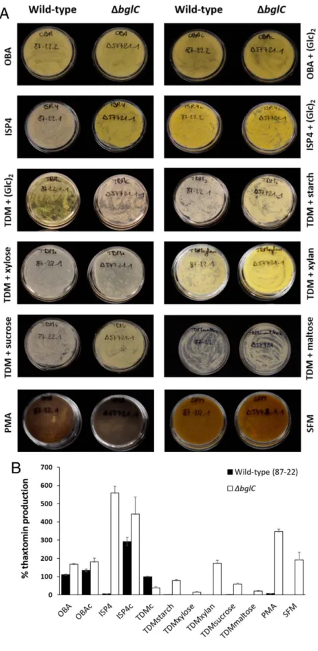 Fig. 6 Thaxtomin A production by Streptomyces scabies wild-type (87-22) and the bglC null mutant grown on various minimal and complex solid media.