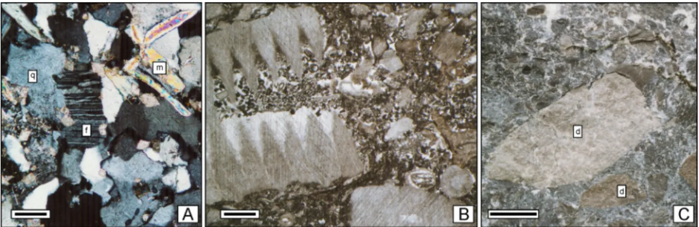 Figure 8. A. Vue au microscope polarisant d’un « grès » famennien constitué de quartz (q),  de feldspaths (f) et de micas (m) (barre d’échelle : 0,1 mm)
