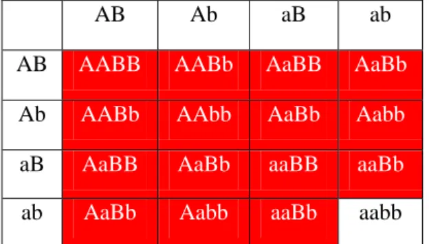 Table 4 - an example of redundant genes. The possible genotypes are displayed  and the background colour corresponds to the plant flowers colour