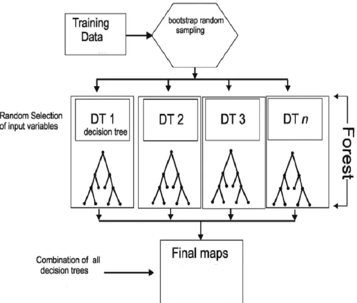 Figure 10 - Random Forest 