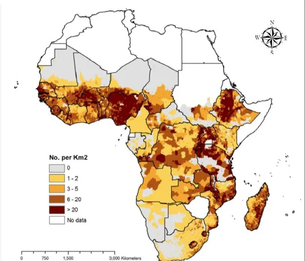 Figure  1:  Map  showing  the  density  of  poor  people  keeping  livestock  in  Africa,  2005  (ILRI, 2012) 