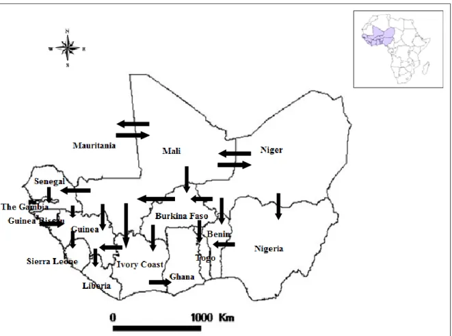 Figure  4:  Cross-border  transhumance  routes  in  West  Africa  and  Central  Africa  (adapted from OECD, 2008) 