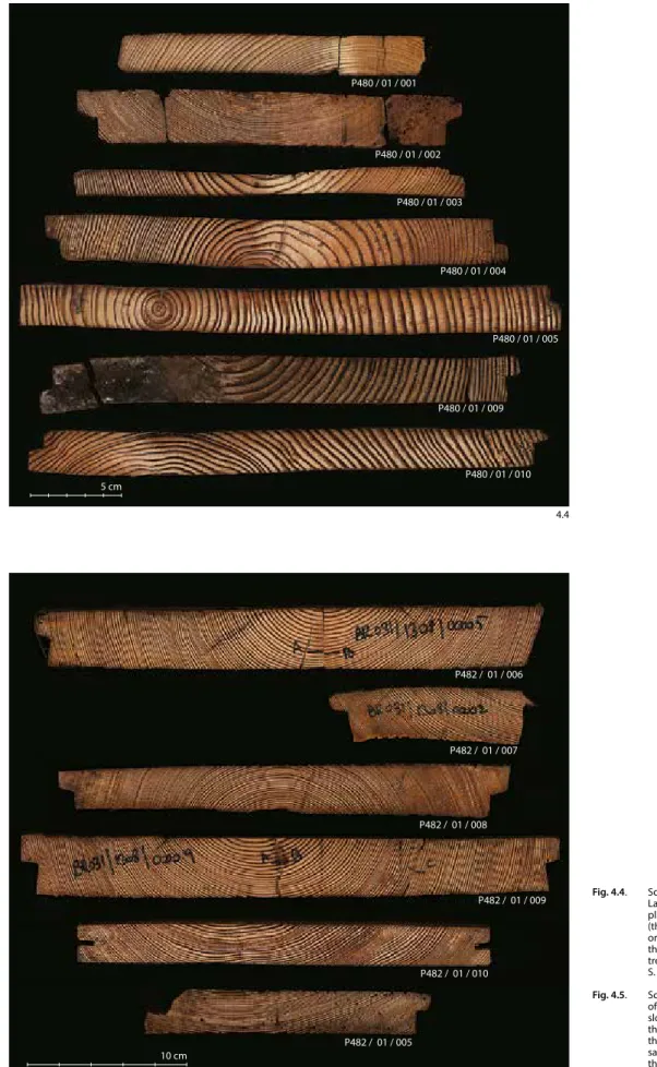 Fig. 4.5.  Scan of the samples of planks from the site  of the Hôtel de Merode, Brussels: extremely  slow growth rhythm; most planks produced by  through-and-through sawing, originating from  the part near the centre of the log (except for  sample no