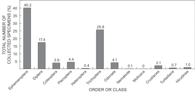 Figure 4: Relative abundance of collected order, expressed as a percentage of the total number of collected specimens/individuals