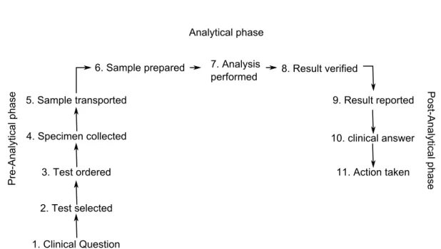 Figure 1.1 The 11-step process of a clinical laboratory analysis.