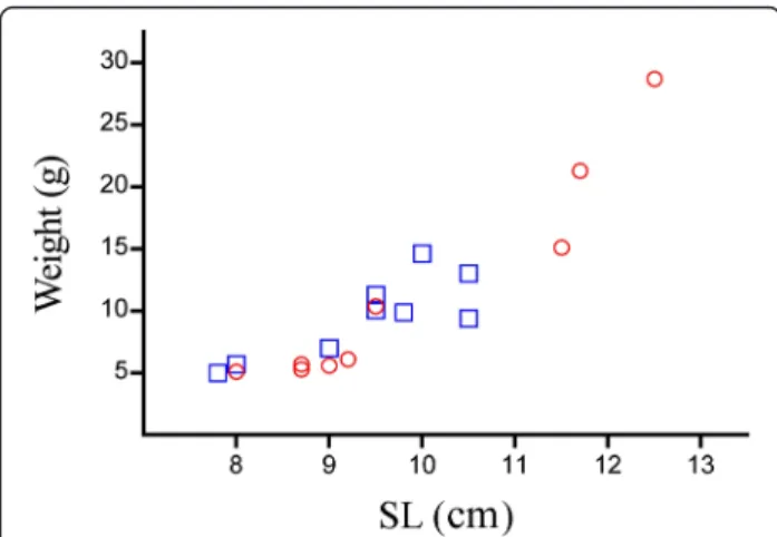 Figure 7 Size to weight ratio of the two cottid species investigated. Comparison of the size to weight ratio in the recorded individuals of Cottus rhenanus (□) and Cottus perifretum (○).