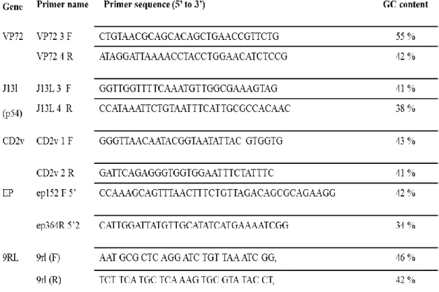 Table 3 - Primers used for amplification of ASFV DNA. 