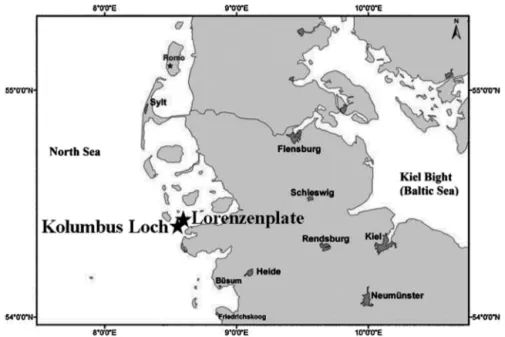 Fig. 1. The sampling sites Lorenzenplate and Kolumbus Loch are sandbanks of the Wadden Sea offshore of Germany
