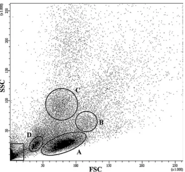 Fig. 2. Flow cytometry scatter plot of cell populations obtained after whole blood centrifugation in CPT TM 