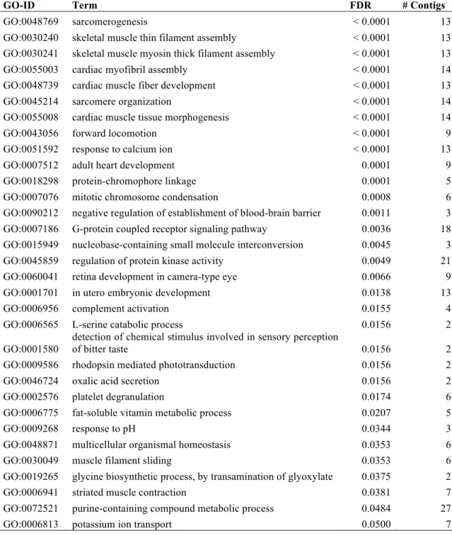 Table 2.2. GO enrichment (biological processes, FDR &lt; 0.05) for differentially expressed  transcripts between pure normal and dwarf whitefish embryos (FDR &lt; 0.01, fold-change &gt; 