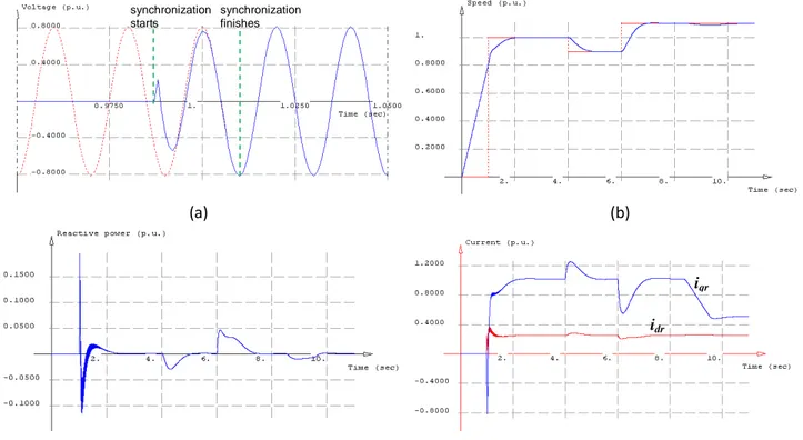 Figure 6: DFIG alone: (a) Grid synchronization response; (b) Speed response;   
