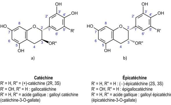 Figure 6 Flavanol catéchine (A) et épicatéchine (B), d’après Ribéreau-Gayon et al.,  2006b