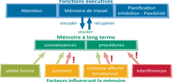 Illustration n°4 : Pédagogie et neurosciences. Quelles stratégies pour les enseignants ? Rémi Samier et Sylvie Jacques.