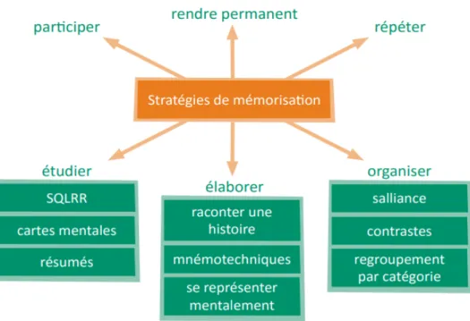 Illustration n°6 : Pédagogie et neurosciences. Quelles stratégies pour les enseignants ? Rémi Samier et Sylvie Jacques.