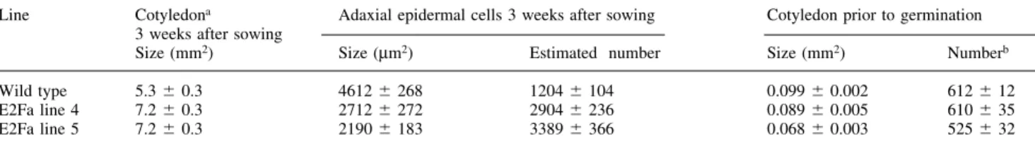 Table I. Adaxial epidermal cell size and cell number in cotyledons of E2Fa-overexpressing plants