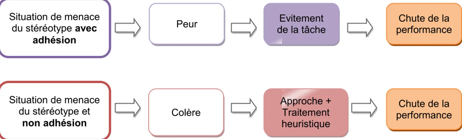 Illustration 3  : Schéma récapitulatif des conséquences de l’émergence de peur et de  colère en situation de menace du stéréotype 