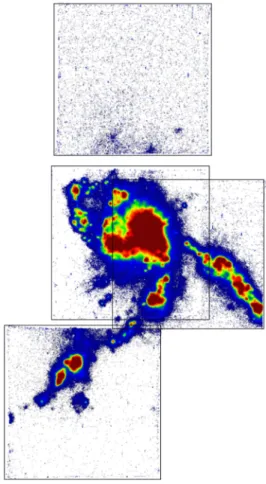Figure 2.2 – Champs MUSE sur le groupe compact de galaxies HCG 31