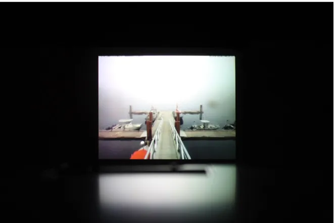 Figure 12 : Vue de la vidéo projetée, Quai, Nathalie LeBLanc, 2014 21