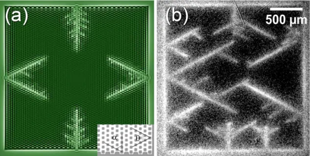 FIG. 5. (a) Magnetic flux distribution for H = 3.2 Oe, obtained from simulations for a superconducting film decorated with a centered rectangular 2D Bravais lattice of square ADs, designed to match sample MoGe-III
