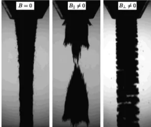 Figure 4 shows the critical values of the magnetic field B % c and B !c for different values of the funnel output diameter D.