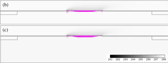 Fig.  2  Temperatures  in  gray-scale  (legend  given  in  K)  and  streamlines  for  t  =  0.1s