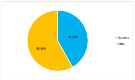 Graphique 2 : participation des filles et des garçons à l’enquête en ligne 