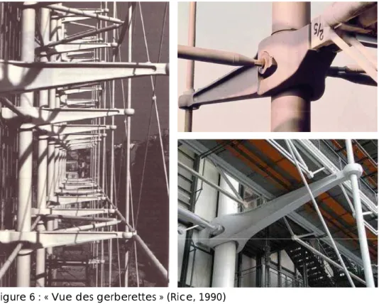 Figure 6 : « Vue des gerberettes »   (Rice, 1990)  