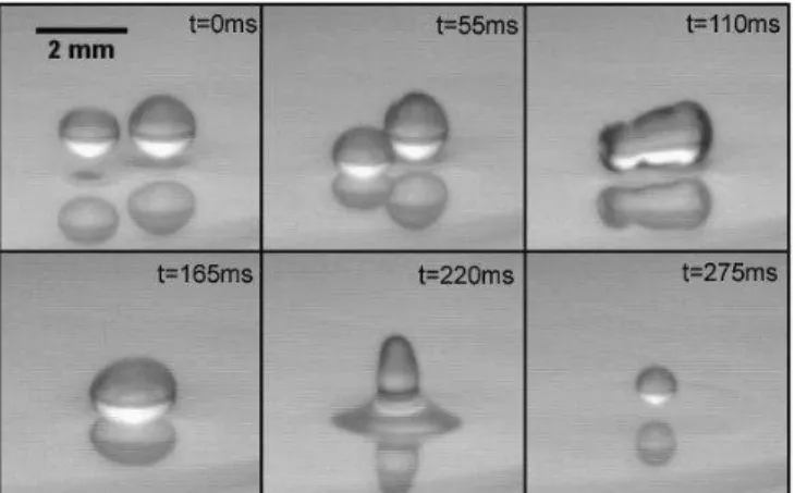 FIG. 1: Two droplets are bouncing on a vibrated liquid/air interface. They meet and coalesce