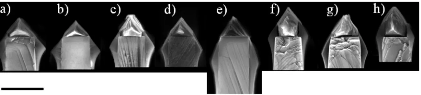 Figure 6: SEM micrographs of the tops of the eight etched diamond gratings, showing the redeposition of aluminum  oxide,  a)  ArO 2 -22005,  b)  ArO 2 -32005,  c)  O 2 -22005,  d)  O 2 -32005,  e)  O 2 -42005,  f)  O 2 -22010,  g)  O 2 -32010  and  h)  O 2