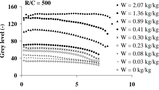 Fig. 3. Grey level profiles – 80°C – 1 ms -1 