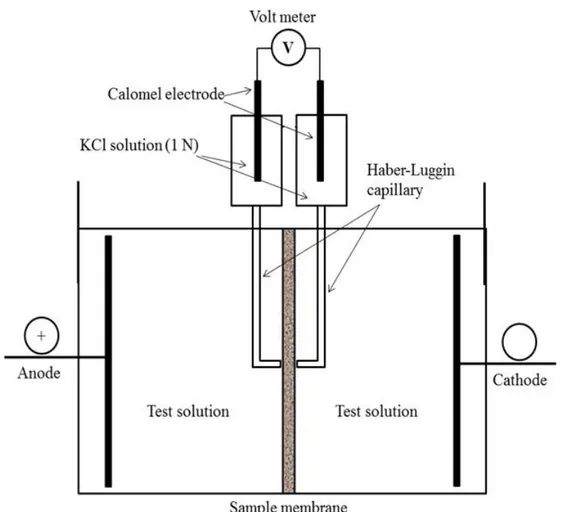 Fig. 1.20: Schematic diagram of the two-compartment electrolytic cell for the  determination of membrane resistance by current-voltage measurements with direct current