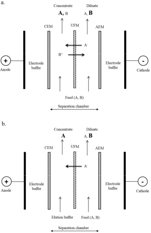 Fig. 1.7:  Schematic diagram of electrophoretic membrane contactor at (a) separating mode  and (b) eluting mode