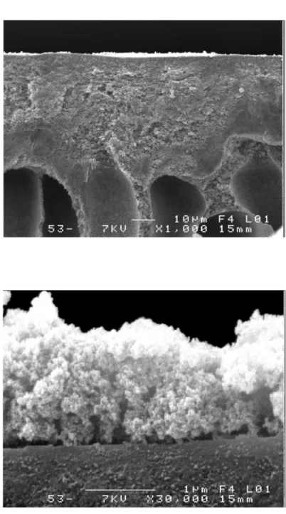 Fig. 1.16: Images of PES membrane fouled at lab scale by skim milk protein (a)  magnification: x 1,000, (b) magnification: x 30,000