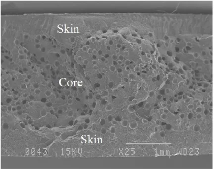 Figure 1.7. Flexural modulus of HDPE structural foams at different mold temperatures  (Tovar-Cisneros et al., 2007) .