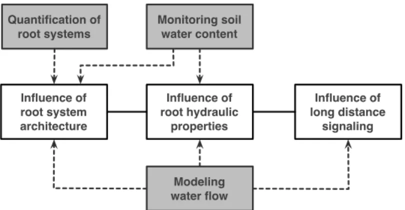 Figure 0.1: Specific objectives of the thesis. Grey boxes represent methodological objectives