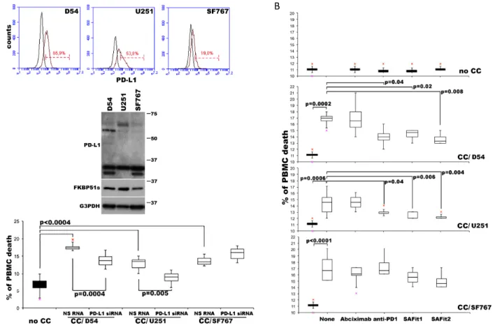 Figure 5: PD-L1-induced PBMC death is reduced by SAFit.  (A) PD-L1 expression in D54, U251 and SF767 glioblastoma cells  analysed by flow cytometry (upper) and immunoblot (lower)